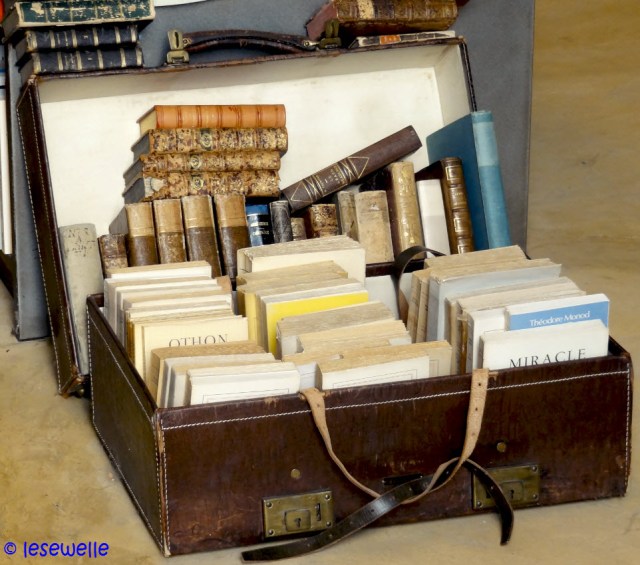 ein Koffer voller Bücher