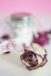 Rosen Vanille Zucker_3_Pearls for Pillows