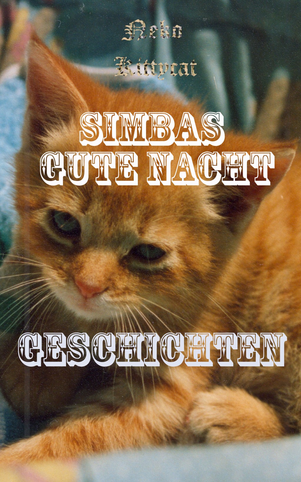 Simbas Gute Nacht Geschichten auf Amazon gelandet