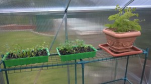 WP_20150425_17_00_54_Pro[1]