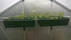 WP_20150515_13_42_16_Pro