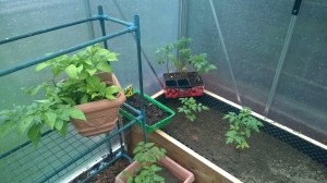 WP_20150515_13_42_23_Pro