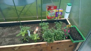 WP_20150515_13_42_29_Pro