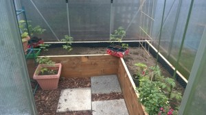 WP_20150515_13_42_46_Pro