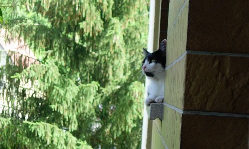 Fensterausguck