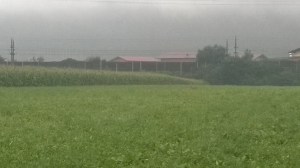 WP_20150903_06_36_11_Pro