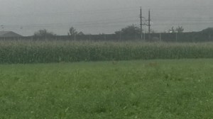 WP_20150903_06_36_58_Pro