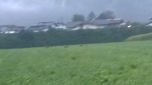 WP_20150903_06_37_44_Pro