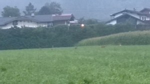 WP_20150903_06_37_47_Pro