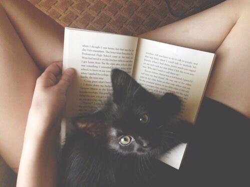 Twitter0b497e8 - Kopie