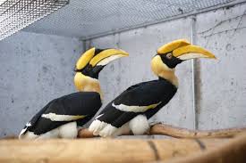 wp-1456520140438 image