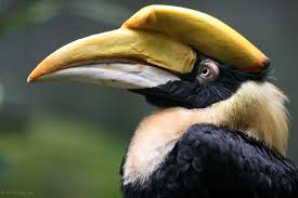 wp-1456520474309 image