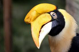 wp-1456520490350 image