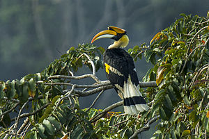 wp-1456520872668 image