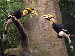 wp-1456523513178 image