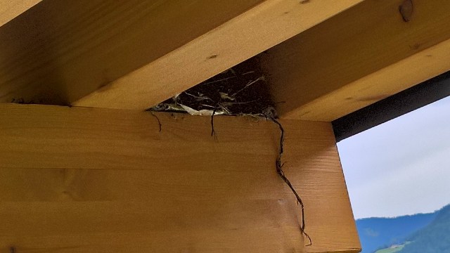 WP_20160529_16_14_11_Rich