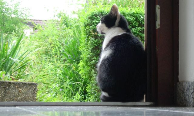 Regentropfenselbsthypnose2