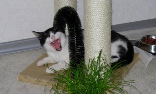 Jugendbild