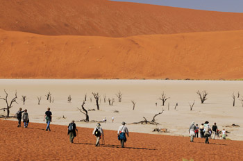 visitors-descend-dead-vlei-350.jpg image