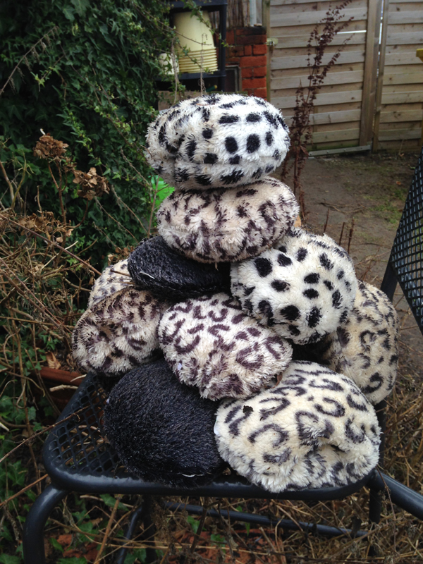 2017-01-21-12-07-38kl