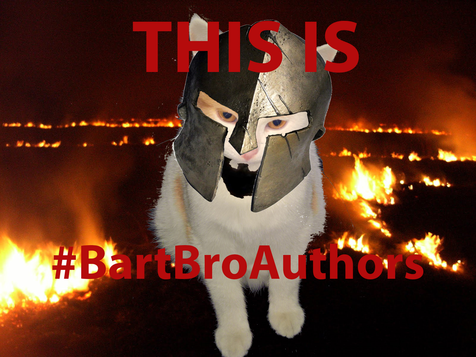 bartbro