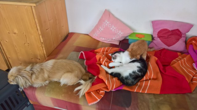 WP_20170919_10_15_57_Rich_LI